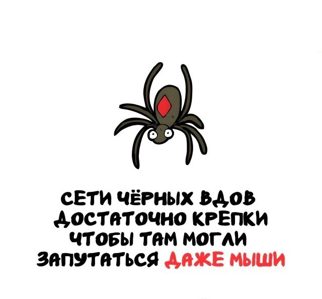 А вдруг ты не знал…