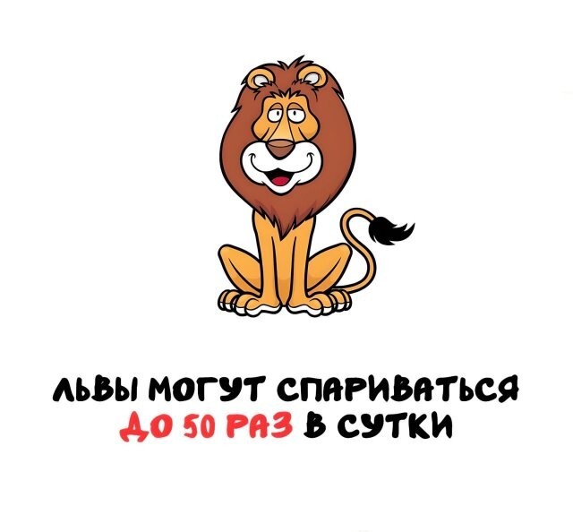 А вдруг ты не знал…