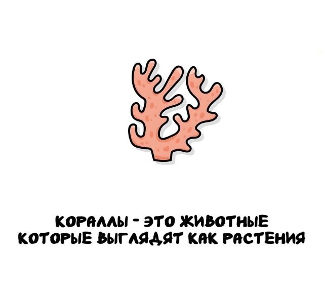 А вдруг ты не знал…