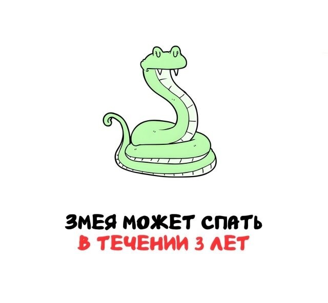 А вдруг ты не знал…