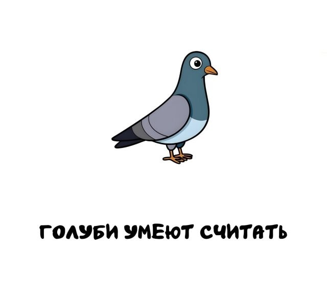 А вдруг ты не знал…