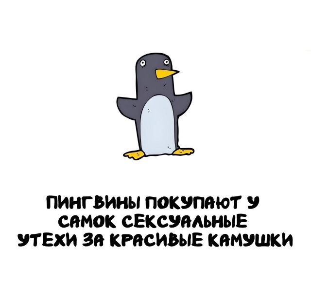 А вдруг ты не знал…