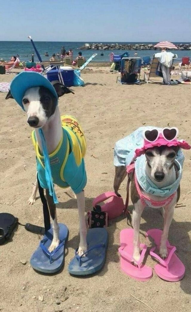 Намешалось