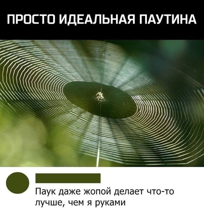 Не ищите здесь смысл. Здесь в основном маразм