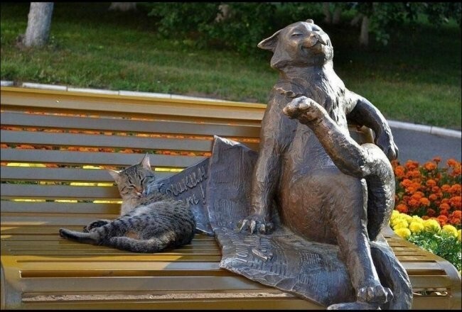 Всё вразнобой 