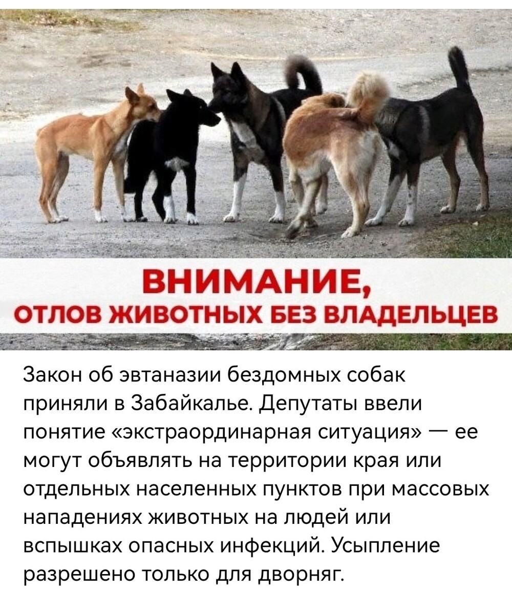 Политическая рубрика от NAZARETH за 25.09.25. /вечерний выпуск/ Новости, события, комментарии - 1901