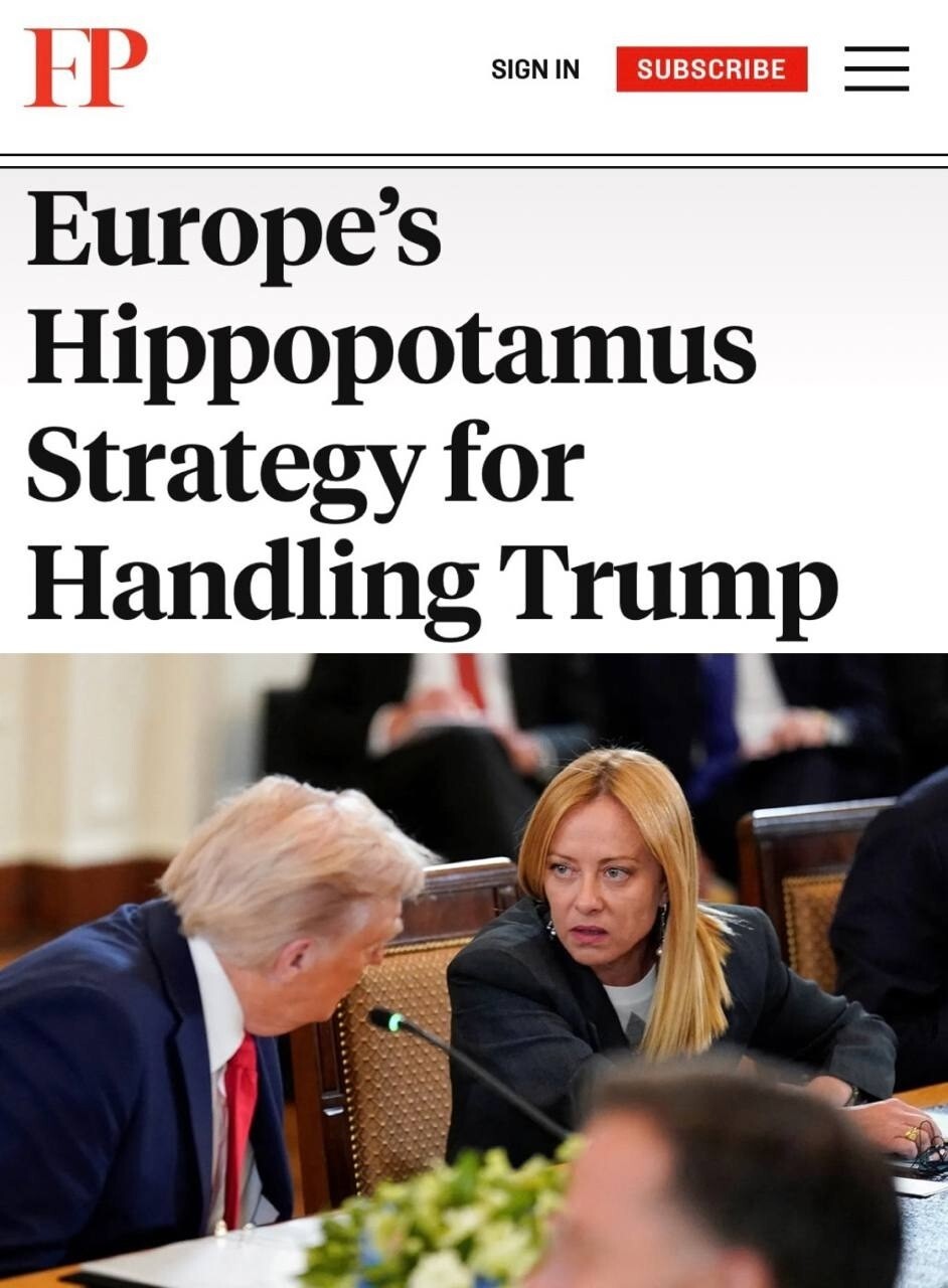 «Европейская стратегия «Гиппопотам» по борьбе с Трампом»