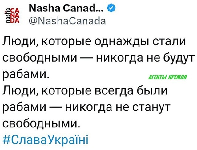 Крики пока не приедет к пассажиру бусик ТЦК