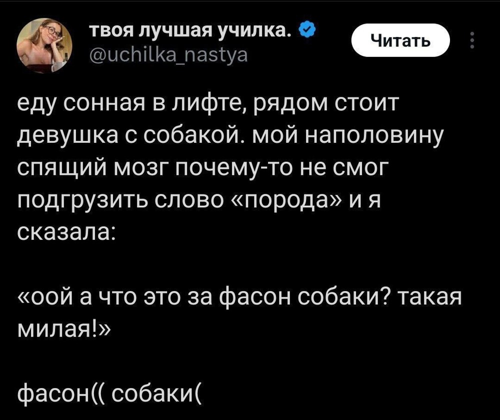 2. Бывает ещё бренд собаки, модель и марка собаки