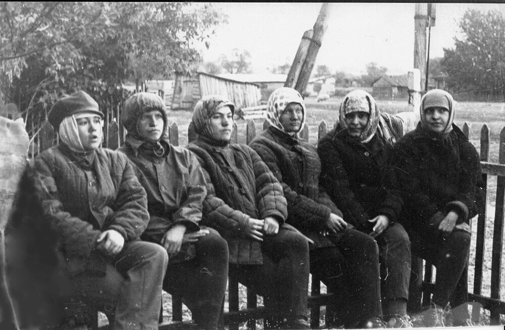 «Только с картофельного поля». Студентки Рязанского Радиоинститута на уборке картофеля в Шиловском районе. Сентябрь 1973 года. Автор: Лариса Попов