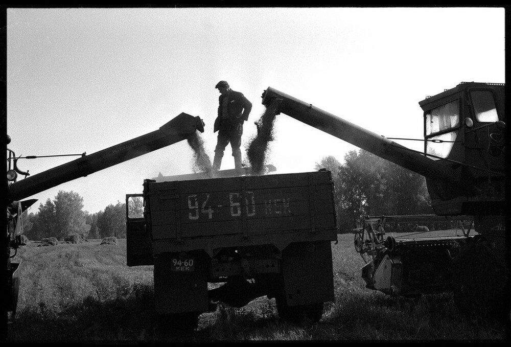 «Красная Борозда». Совхоз «Белогородский». 27 сентября 1979 года. Кемеровская область, Мариинский район.