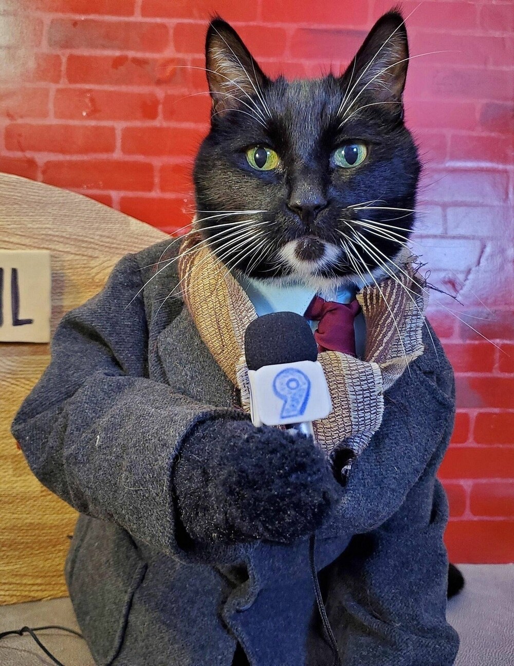 На общую тему 