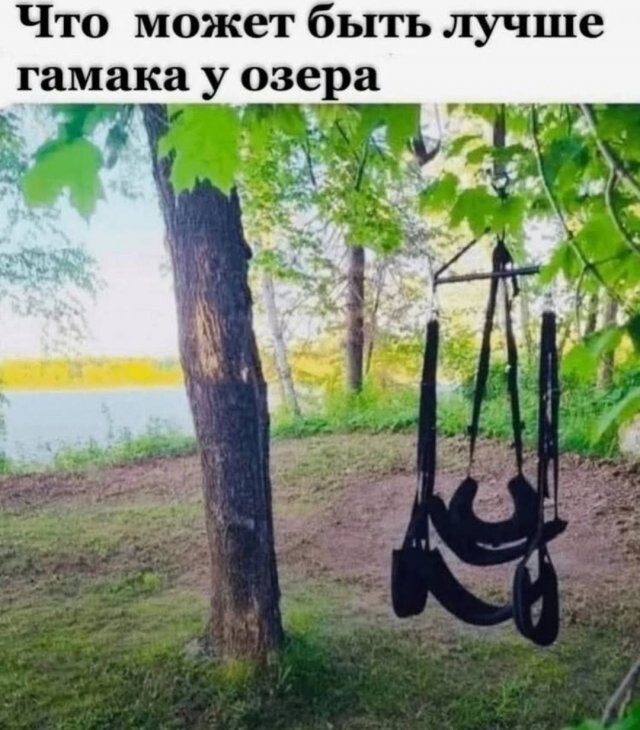 Скрины из соцсетей            
