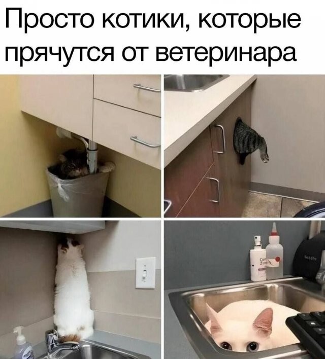 Скрины из соцсетей            