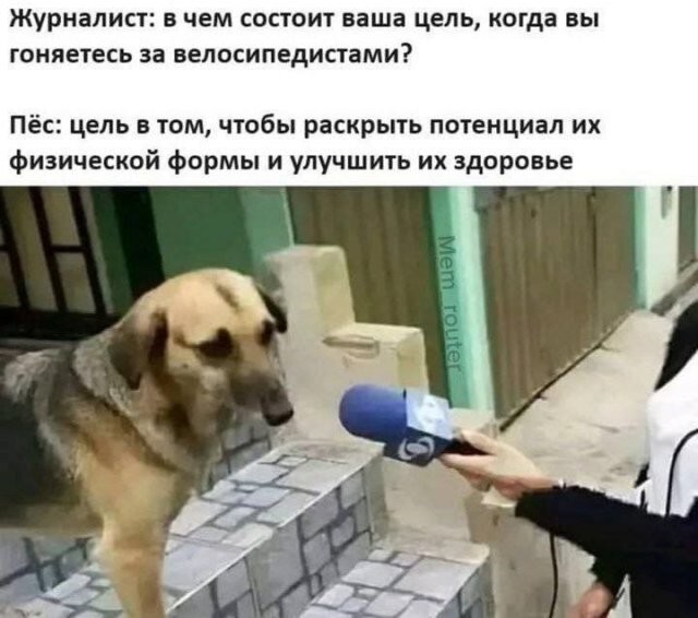 Скрины из соцсетей            