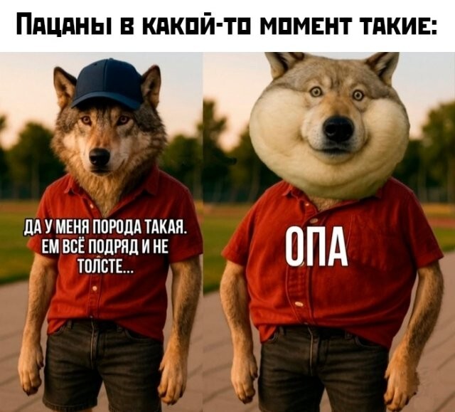Намешалось