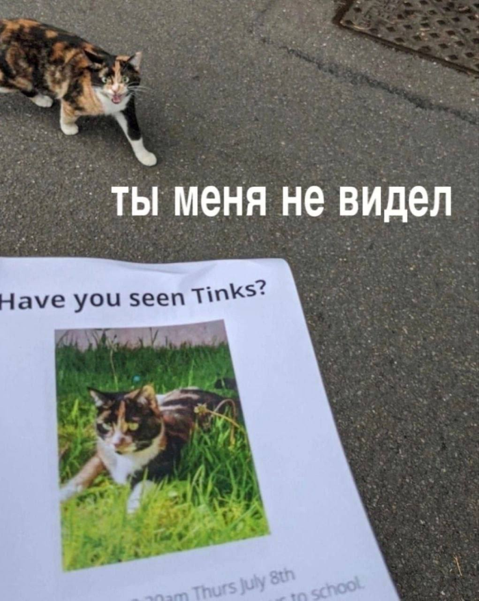 Не ищите здесь смысл. Здесь в основном маразм