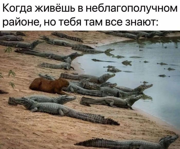 Не ищите здесь смысл. Здесь в основном маразм