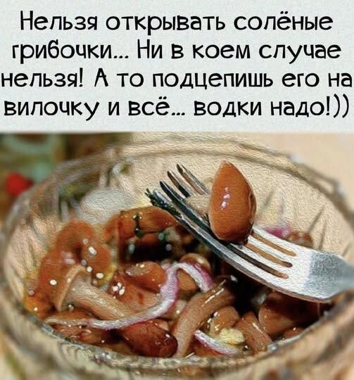 Не ищите здесь смысл. Здесь в основном маразм