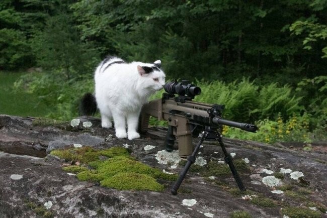 Всё вразнобой 
