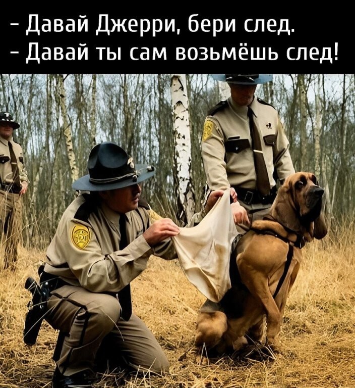 Большая тарелка улыбатора