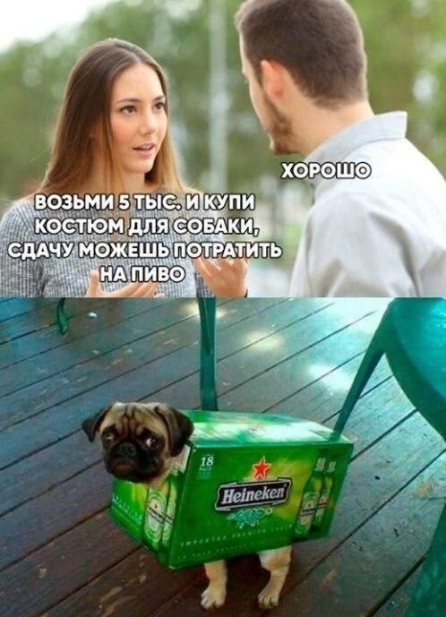 Большая тарелка улыбатора