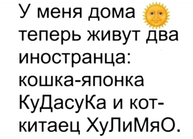 Большая тарелка улыбатора