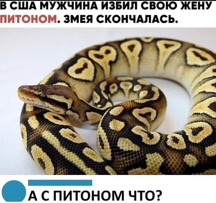 Большая тарелка улыбатора
