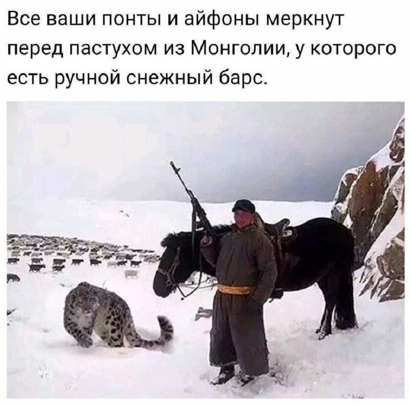 Большая тарелка улыбатора