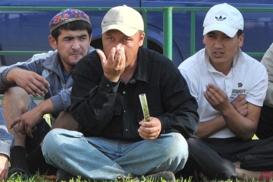 Что такое насвай и откуда он взялся