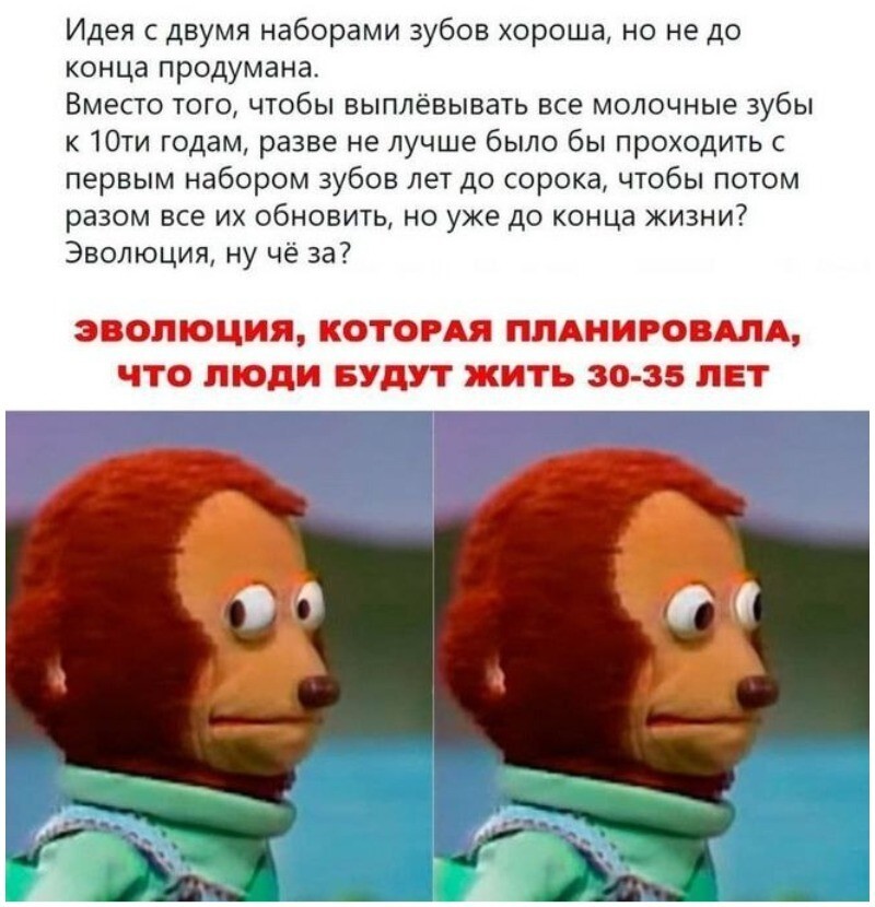 Зубы будущего: японцы обещают чудо к 2030 году