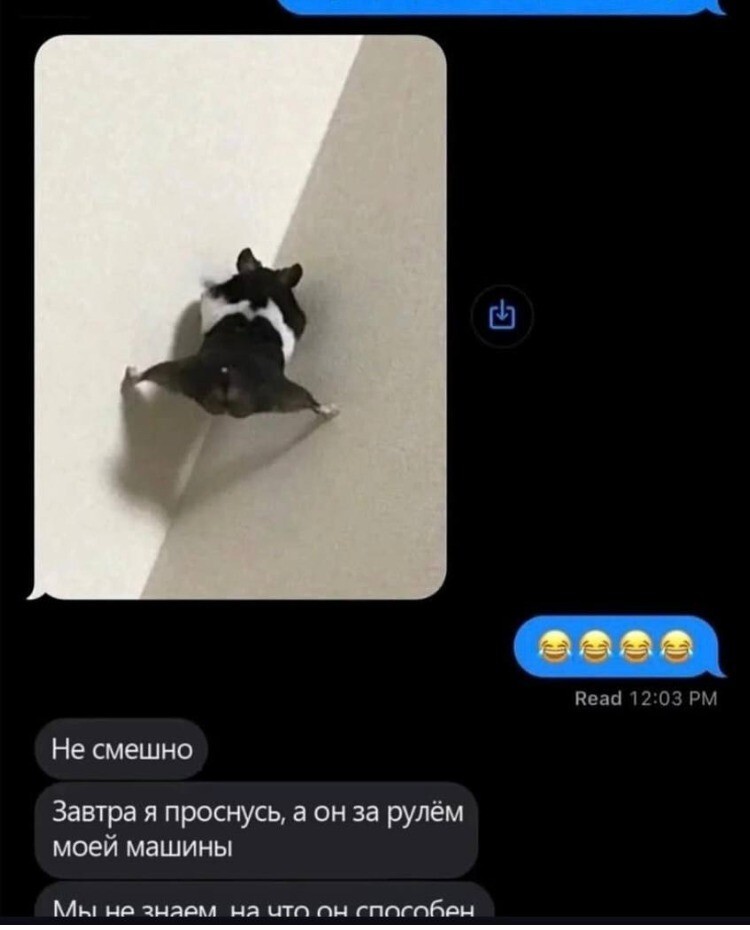 Боевой хомяк показал, как правильно сбегать от проблем