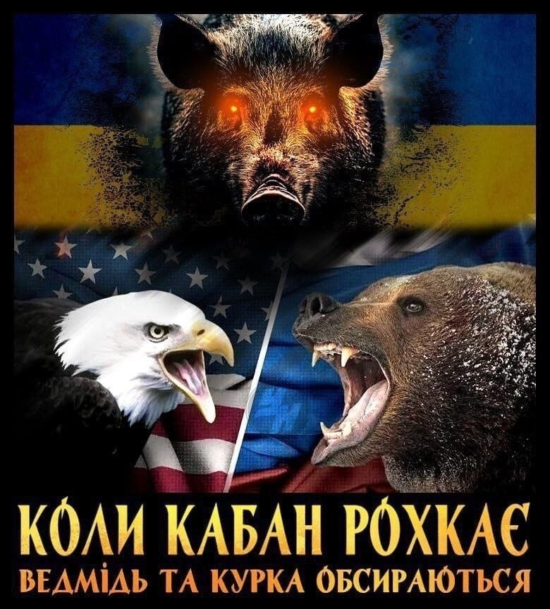 "Когда кабан хрюкает, то медведь и курица обсираются". Когда кабан хрюкает - ему в кабину 12 калибр от охотника летит, а потом шашлык вкусный