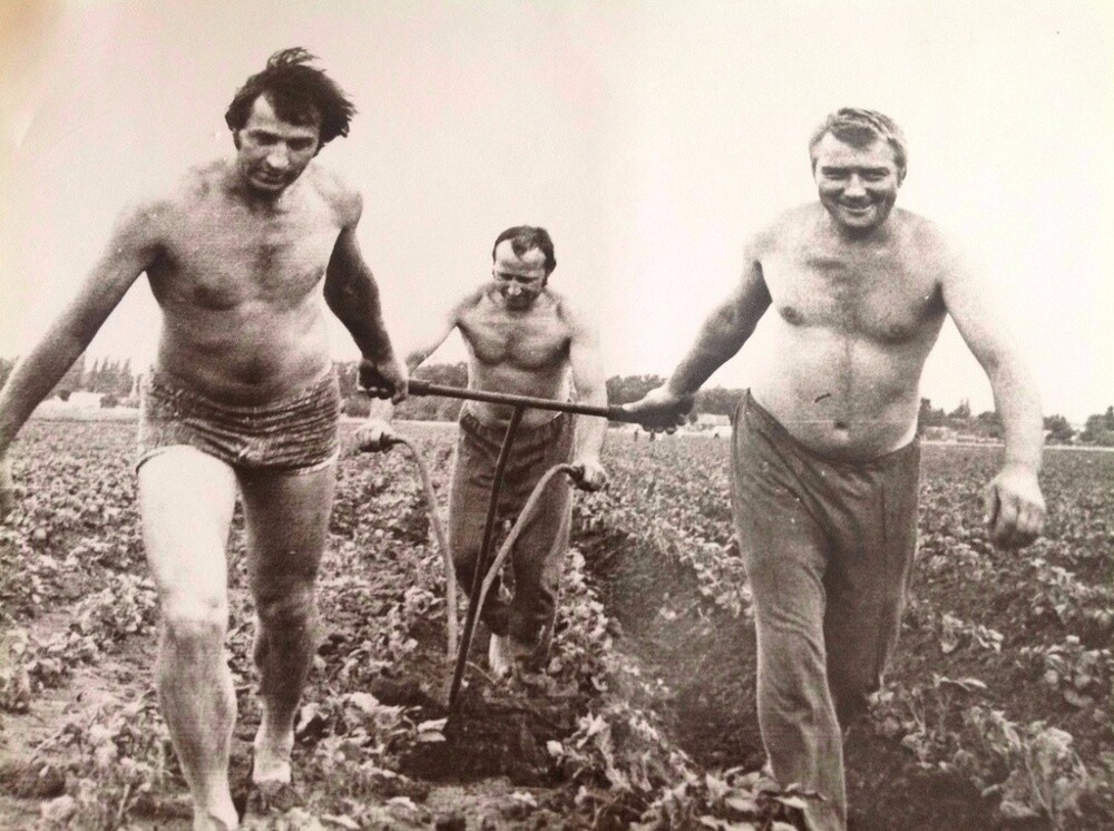 Архив Николая Рябцева. На картошке. Август – октябрь 1989 года. Неизвестный автор. Ростовская область, поселок Победа.