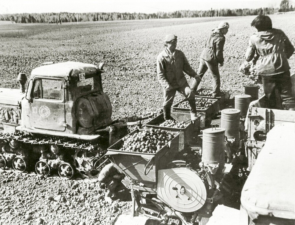 Механизированная посадка картофеля. 1970 год. Автор: Юрий Сыстеров. Пермская область.