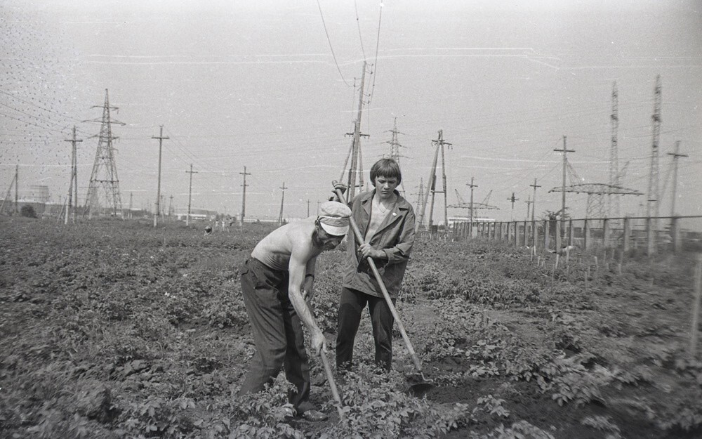 «На картошке». 1979–1981 годы. Автор: Алексей Кожанов. Куйбышевская область, Тольятти.