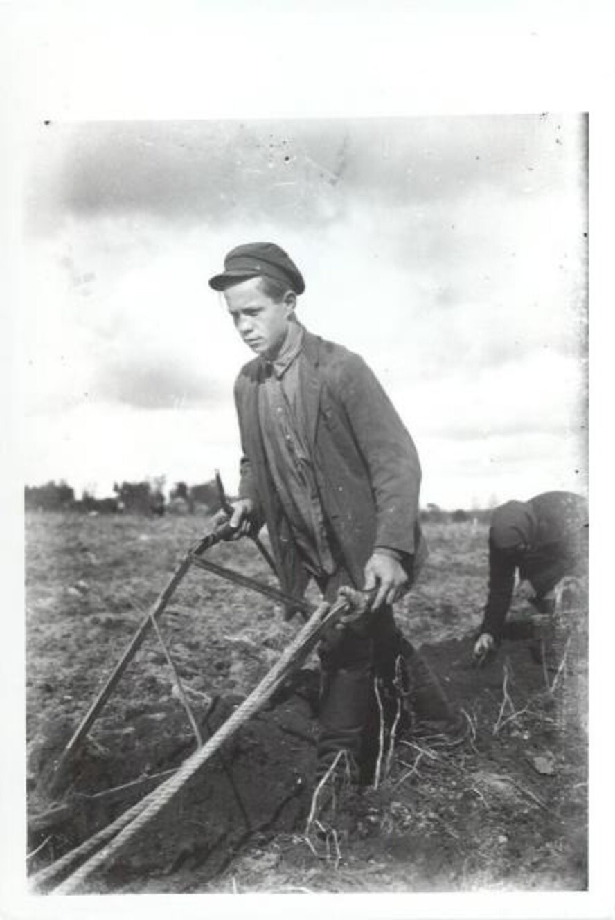 Посадка картофеля. 1930-е. Автор: Леонид Шокин. Калининская область, Кимры.