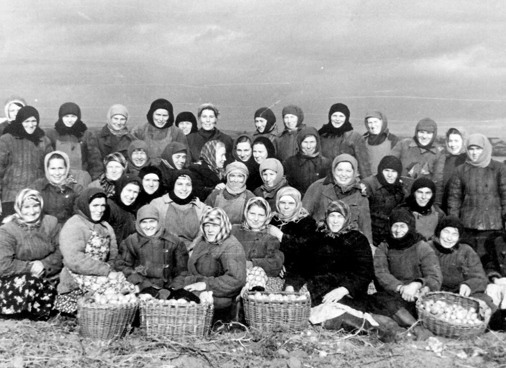 Архив Евгения Викторовича Ахматова. Селянки на уборке картофеля. Сентябрь 1957 года. Неизвестный автор. Рязанская область, поселок Гремячий Ключ.