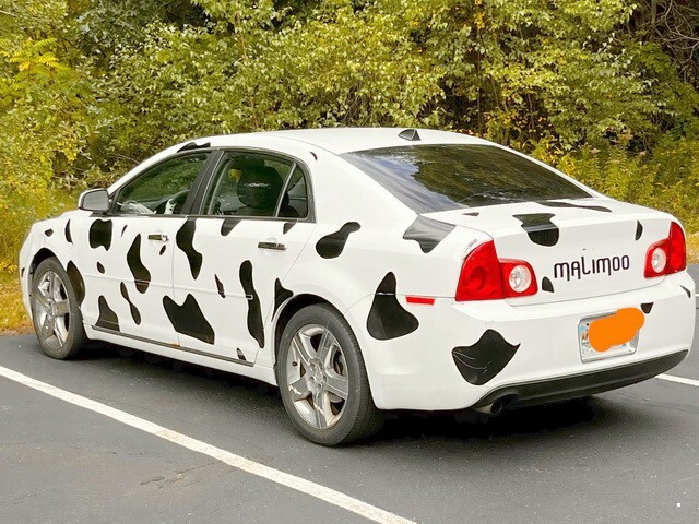 АвтоВсячина