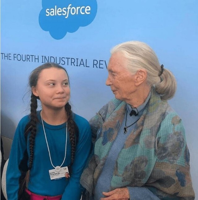 Именно так выглядит борьба с мошенниками Именно так выглядит борьба с мошенниками