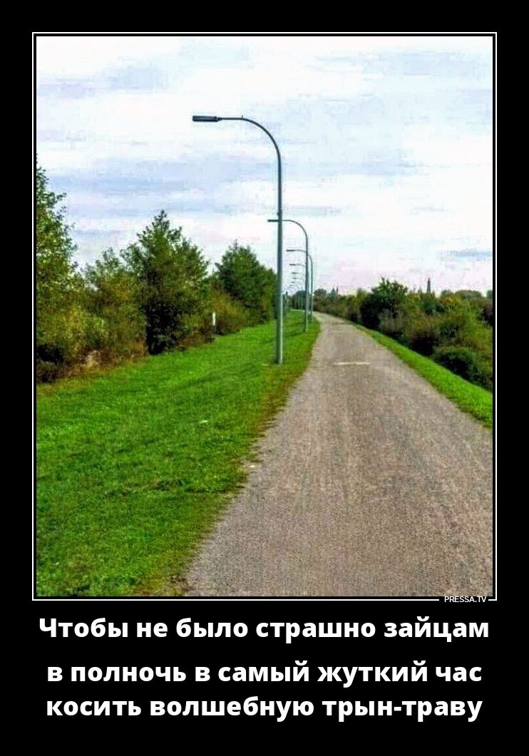 Чтобы не было страшно зайцам в полночь в самый жуткий час косить волшебную трын-траву
