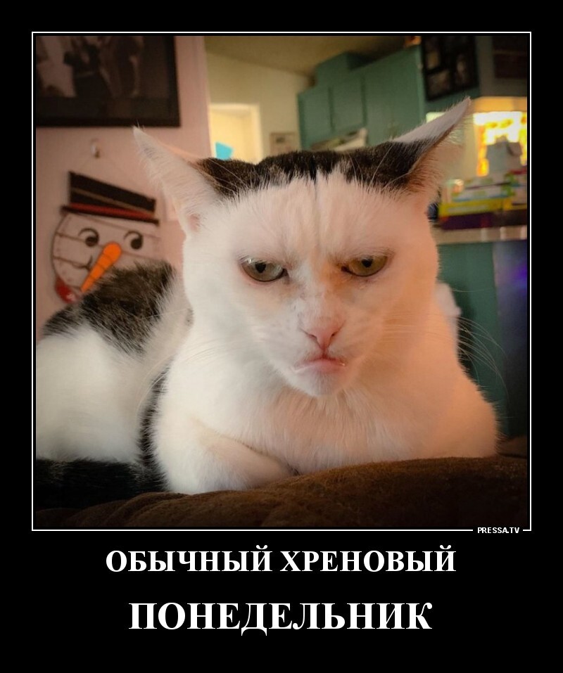 Обычный хреновый понедельник