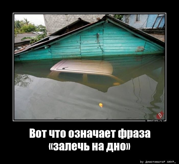 Вот что означает фраза "залечь на дно"