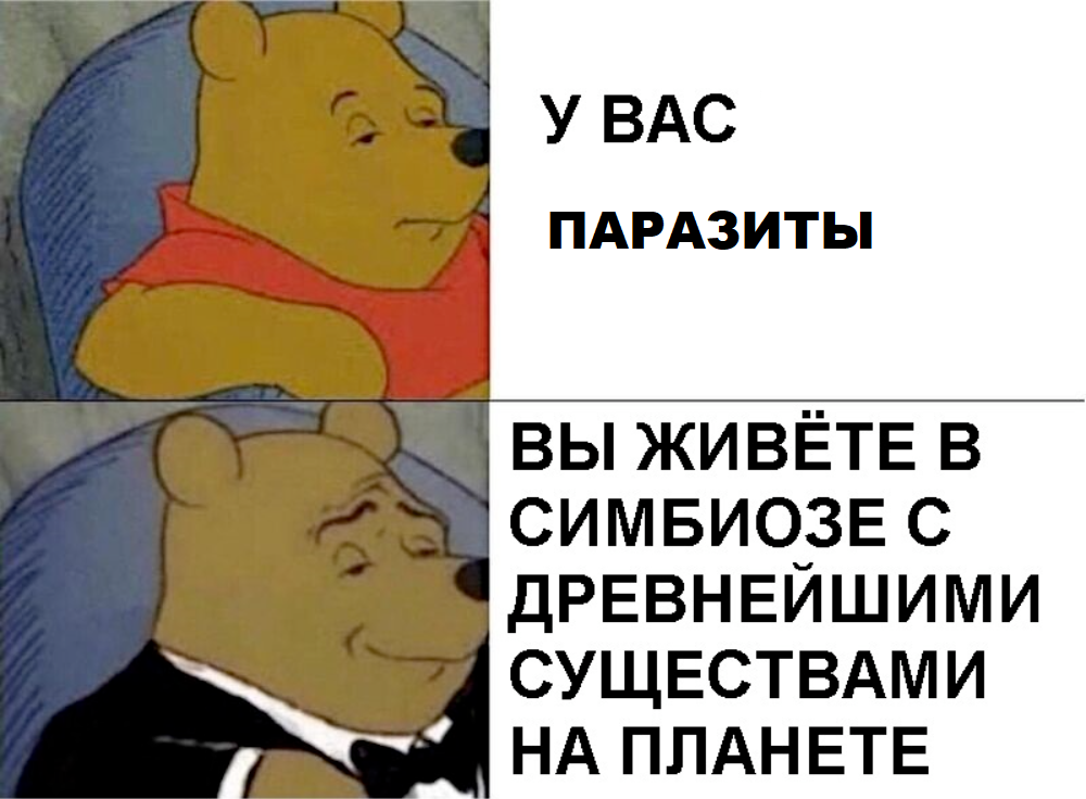 Не просто приправа: чили против паразитов