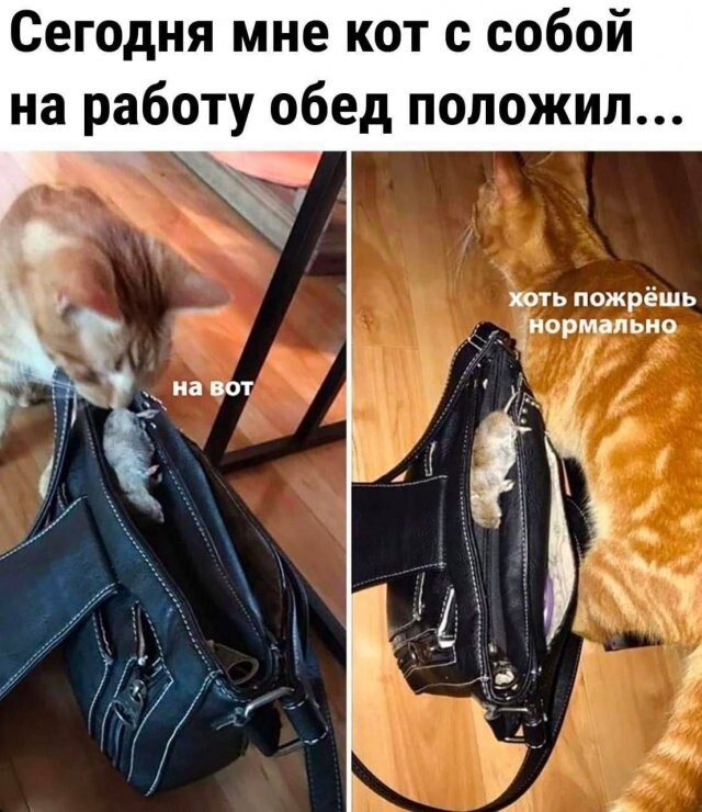 Скрины из соцсетей