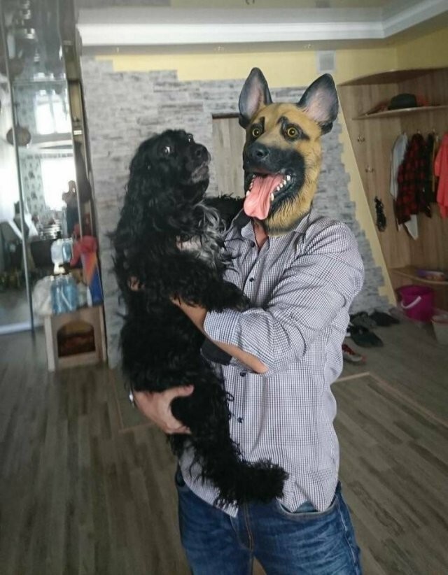 Намешалось