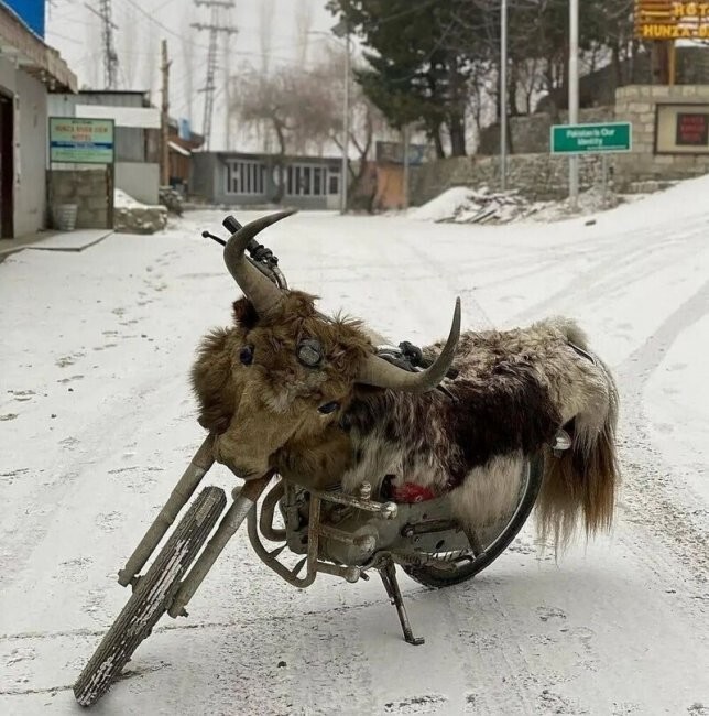 Всё вразнобой 