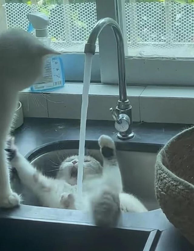 2. Водные процедуры