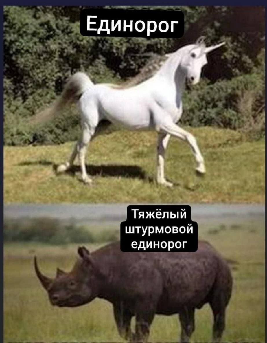 Смешные картинки