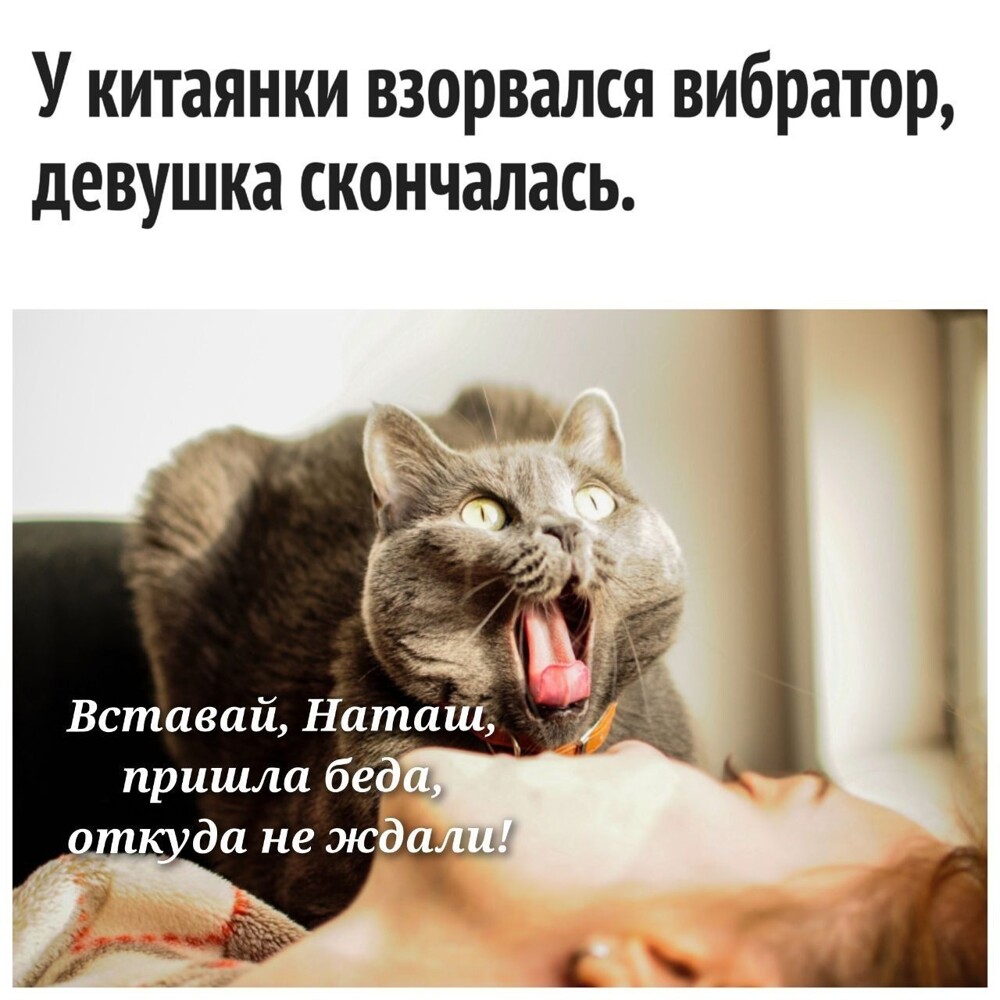 Смешные картинки